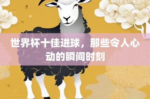 yunxin 第10页