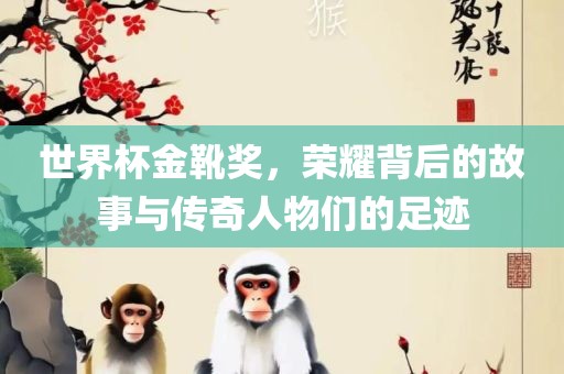 世界杯金靴奖，荣耀背后的故事与传奇人物们的足迹