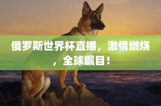 俄罗斯世界杯直播，激情燃烧，全球瞩目！眉山市正发家政服务有限公司