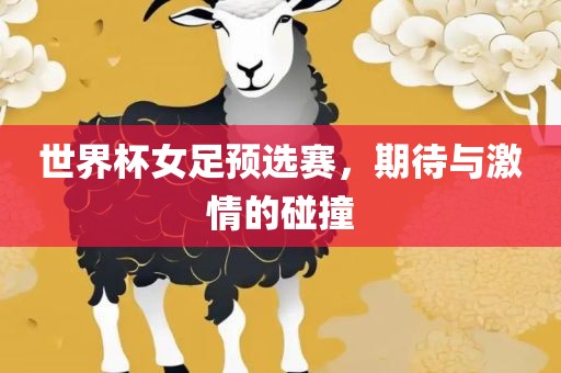 世界杯女足预选赛，期待与激情的碰撞眉山市正发家政服务有限公司