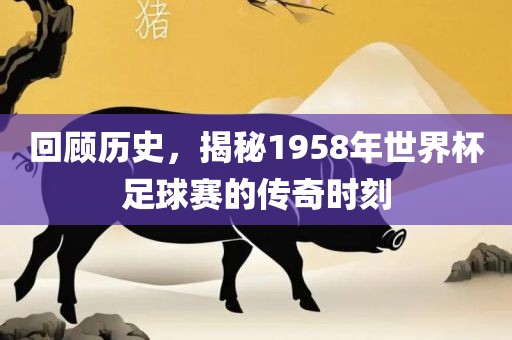 回顾历史，揭秘1958年世界杯足球赛的传奇时刻