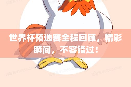 世界杯预选赛全程回顾，精彩瞬间，不容错过！眉山市正发家政服务有限公司