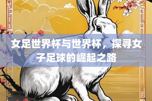女足世界杯与世界杯，探寻女子足球的崛起之路眉山市正发家政服务有限公司