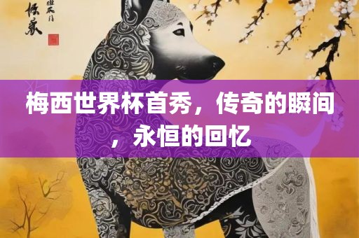 梅西世界杯首秀，传奇的瞬间，永恒的回忆