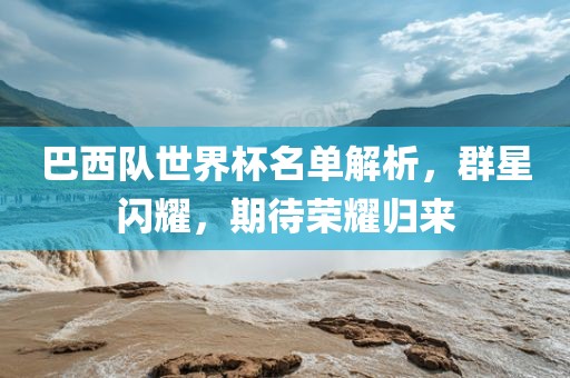 巴西队世界杯名单解析，群星闪耀，期待荣耀归来