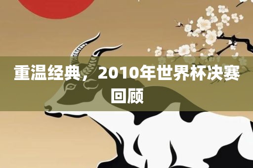 重温经典，2010年世界杯决赛回顾眉山市正发家政服务有限公司