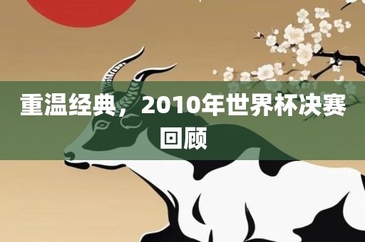 重温眉山市正发家政服务有限公司经典，2010年世界杯决赛回顾