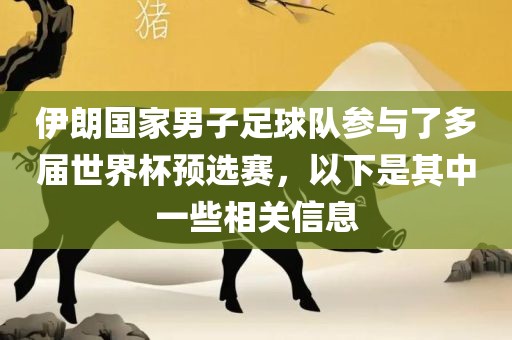 伊朗国家男子足球队参与了多届世界杯预选赛，以下是其中一些相关信息