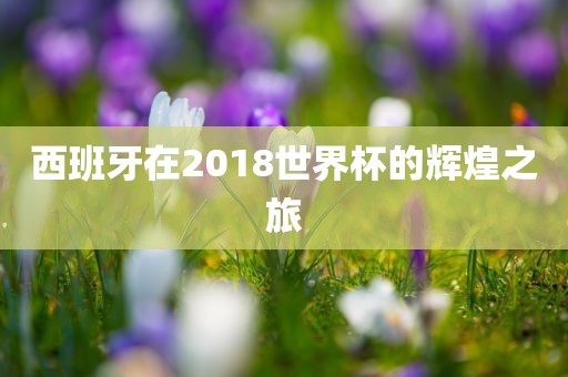 世界杯辉煌之旅 第2页