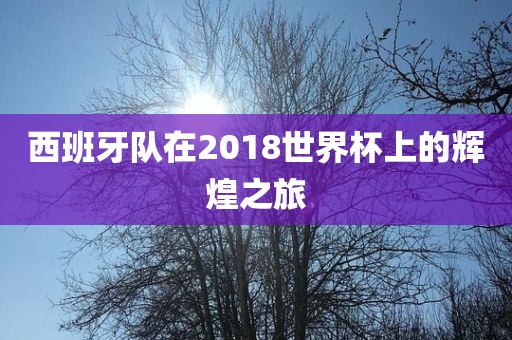 西班牙队在2018世界杯上的辉煌之旅