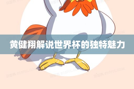 黄健翔解说世界杯的独特魅力眉山市正发家政服务有限公司
