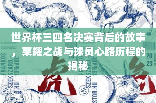 世界杯三四名决赛背后的故事，荣耀之战与球员心路历程的揭秘