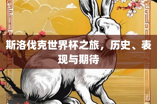 斯洛伐克世界杯之旅，历史、表现与期待