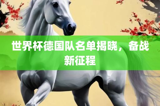 世界杯德国队名单揭晓，备战新征程眉山市正发家政服务有限公司