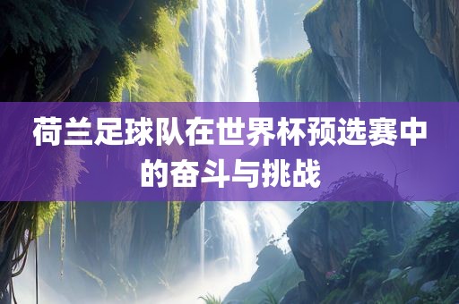 荷兰足球队在世界杯预选赛中的奋斗与挑战