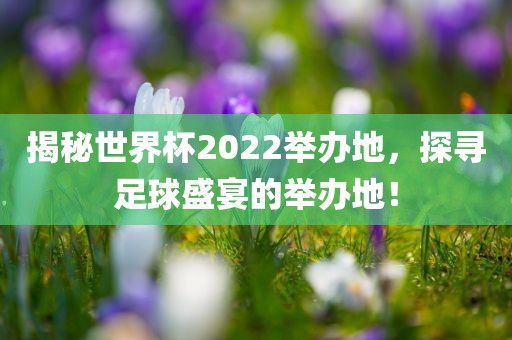 揭秘世界杯2022举办地，探寻足球盛宴的举办地！