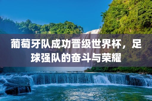 葡萄牙队成功晋级世界杯，足球强队的奋斗与荣耀眉山市正发家政服务有限公司