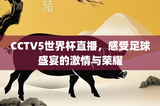 CCTV5世界杯直播，感受足球盛宴的激情与荣耀眉山市正发家政服务有限公司