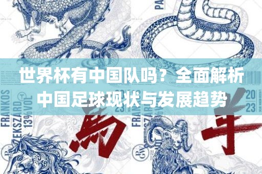 世界杯有中国队吗？全面解析中国足球现状与发展趋势眉山市正发家政服务有限公司