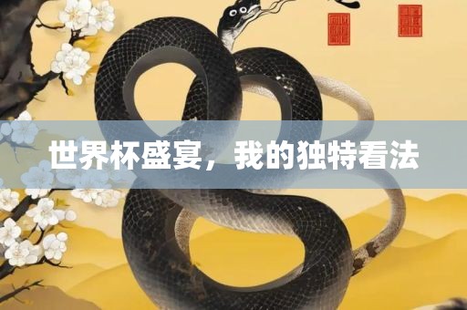 世界杯盛宴，我的独特看法眉山市正发家政服务有限公司