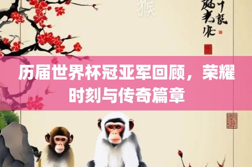 历届世界杯冠亚军回顾，荣耀时刻与传奇篇章