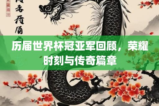 历届世界杯冠亚军回顾，荣耀时刻与传奇篇章