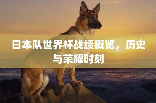 日本队世界杯战绩概览，历史与荣耀时刻