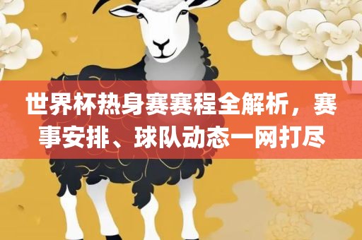 世界杯热身赛赛程全解析，赛事安排、球队动态一网打尽