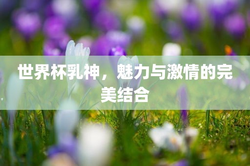 世界杯乳神，魅力与激情的完美结合