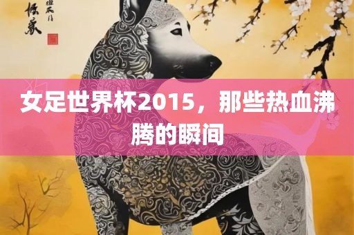 女足世界杯2015，那些热血沸腾的瞬间眉山市正发家政服务有限公司