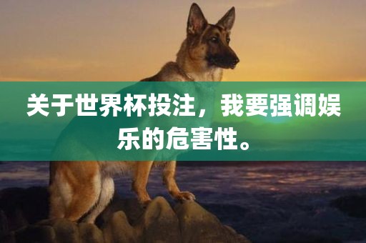 关于世界杯投眉山市正发家政服务有限公司注，我要强调娱乐的危害性。