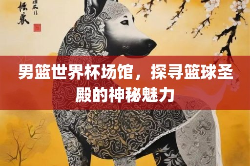 男篮世界杯场馆，探寻篮球圣殿的神秘魅力眉山市正发家政服务有限公司