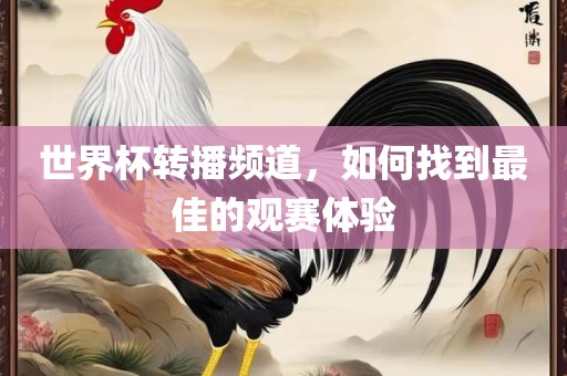世界杯转播频道，如何找到最佳的观赛体验