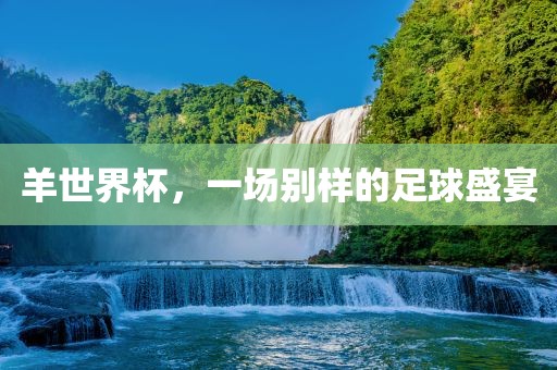 羊世界杯，一场别样的足球盛宴眉山市正发家政服务有限公司