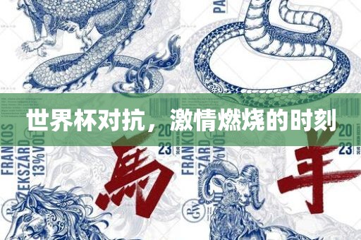 世界杯对抗，激情燃烧的时刻眉山市正发家政服务有限公司