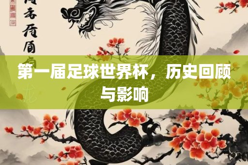 第一届足球世界杯，历史回顾与影响