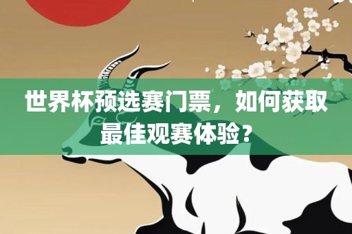世界杯预选赛门票，如何获取最佳观赛体验？