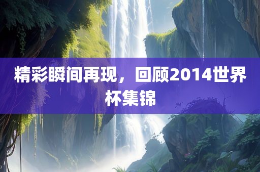 精彩瞬间再现，回顾20眉山市正发家政服务有限公司14世界杯集锦