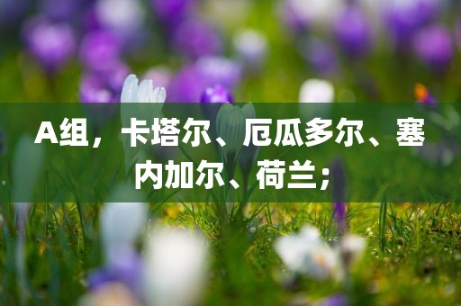 A组，卡塔尔、厄瓜多尔、塞内加尔、荷兰；眉山市正发家政服务有限公司