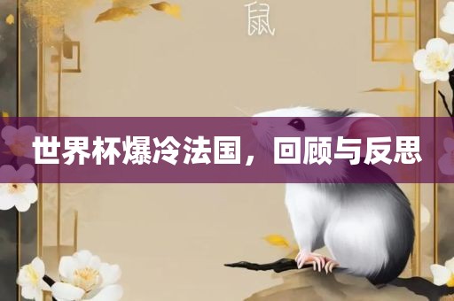 世界杯爆冷法国，回顾与反思
