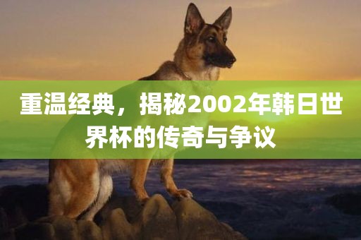 重温经典，揭秘2002年韩日世界杯的传奇与争议