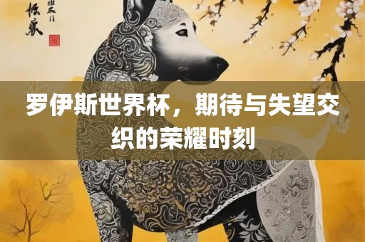 罗伊斯世界杯，期待与失望交织的荣耀时刻