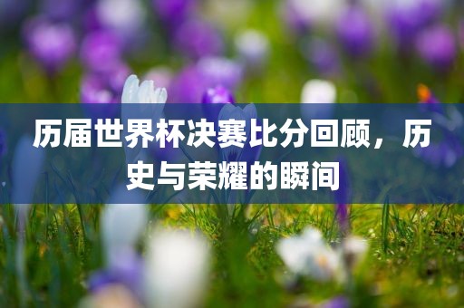 历届世界杯决赛比分回顾，历史与荣耀的瞬间