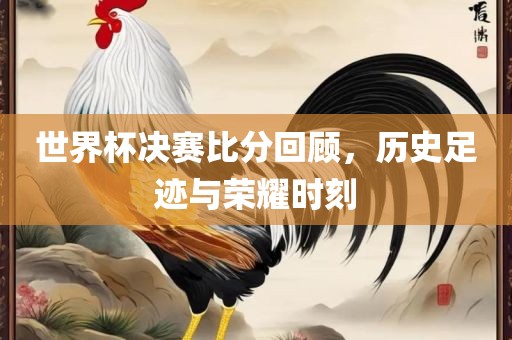 世界杯决赛比分回顾，历史足迹与荣耀时刻