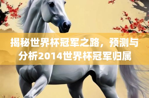 揭秘世界杯冠军之路，预测与分析2014世界杯冠军归属