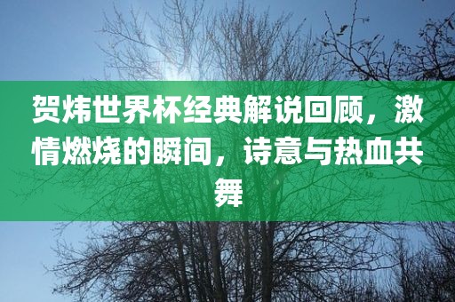 贺炜世界杯经典解说回顾，激情燃烧的瞬间，诗意与热血共舞