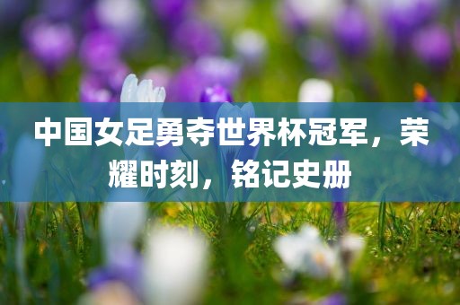 中国女眉山市正发家政服务有限公司足勇夺世界杯冠军，荣耀时刻，铭记史册