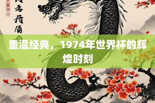 重温经典，1974年世界杯的辉煌眉山市正发家政服务有限公司时刻