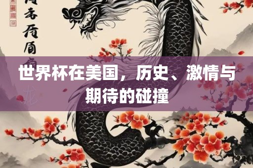 世界杯在美国，历史、激情与期待的碰撞