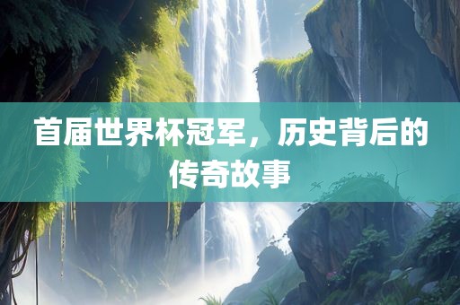 首届世界杯冠军，眉山市正发家政服务有限公司历史背后的传奇故事